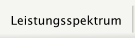 Leistungsspektrum